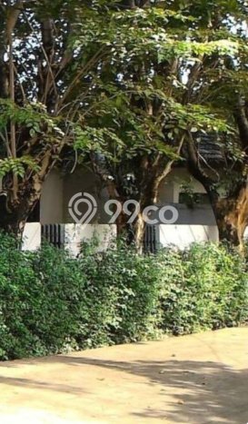 Hunian Luxury Siap Huni di Jakarta Selatan Fasilitas Premium Hunian Luxury Siap Huni di Jakarta Selatan Fasilitas Premium