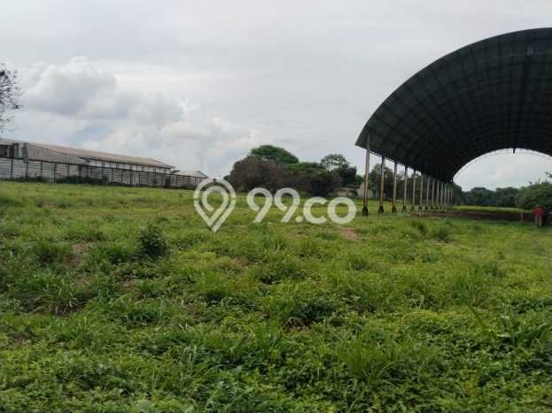 Tanah Strategis Dijual di Purwakarta Purwakarta 30000m2 Tanah Strategis Dijual di Purwakarta Purwakarta 30000m2