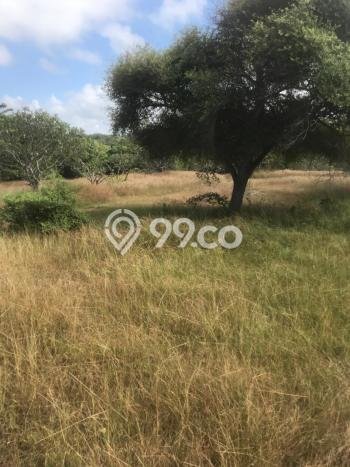 Tanah Kavling Dijual di Ungasan, Badung dengan Luas Tanah 24720m2 Tanah Kavling Dijual di Ungasan, Badung dengan Luas Tanah 24720m2