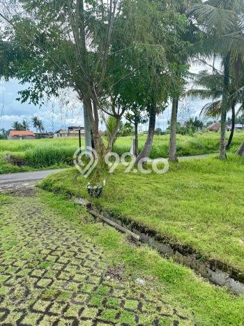 For Sale Tanah di Ubud, Luas 216m2m², Lokasi Potensial For Sale Tanah di Ubud, Luas 216m2m², Lokasi Potensial