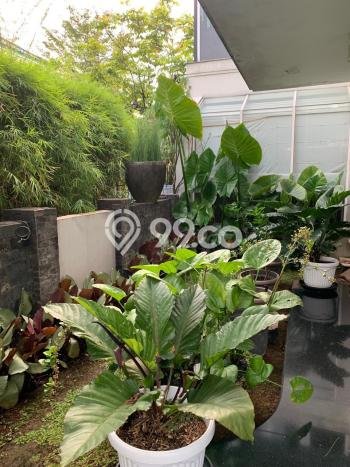 Siap Huni Hunian Elit 3 Kamar di Kebon Jeruk Dekat ke Mana Saja Siap Huni Hunian Elit 3 Kamar di Kebon Jeruk Dekat ke Mana Saja