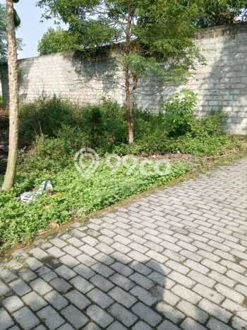 Kavling Tanah Dijual di Kalasan, Sleman, Luas 133m2 Area Strategis Kavling Tanah Dijual di Kalasan, Sleman, Luas 133m2 Area Strategis