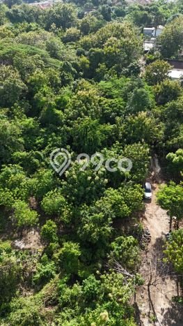Kavling Tanah untuk Dijual di Pecatu, Badung, Luas 5000m2 Kavling Tanah untuk Dijual di Pecatu, Badung, Luas 5000m2