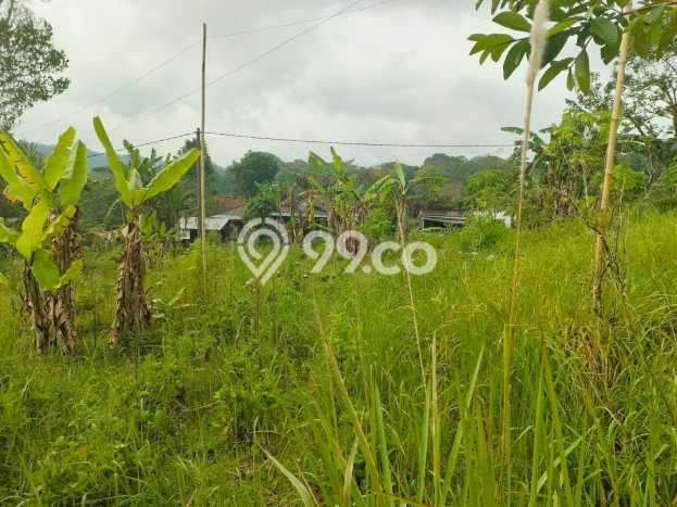 Tanah Komersial Dijual di Buleleng Buleleng 8750m2 Tanah Komersial Dijual di Buleleng Buleleng 8750m2