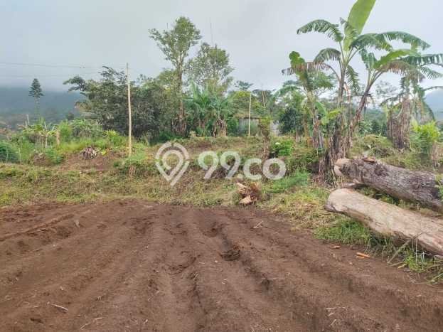 Tanah Komersial Dijual di Buleleng Buleleng 8750m2 Tanah Komersial Dijual di Buleleng Buleleng 8750m2