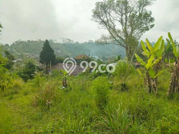 Tanah Komersial Dijual di Buleleng Buleleng 8750m2 Tanah Komersial Dijual di Buleleng Buleleng 8750m2