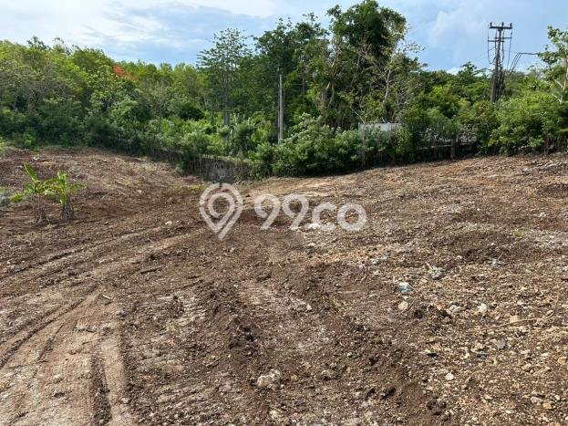Tanah Dijual di Badung Seluas 2000m2 Strategis Tanah Dijual di Badung Seluas 2000m2 Strategis