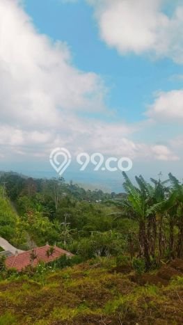Tanah Komersial Dijual di Buleleng Buleleng 8750m2 Tanah Komersial Dijual di Buleleng Buleleng 8750m2