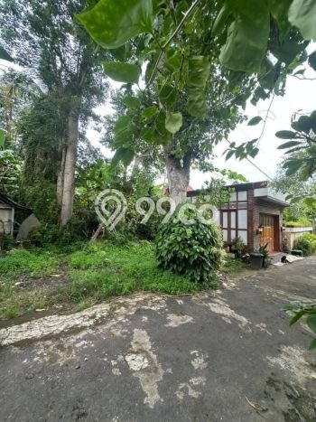 Untuk Dijual Tanah 500m2 di Pecatu, Badung Untuk Dijual Tanah 500m2 di Pecatu, Badung