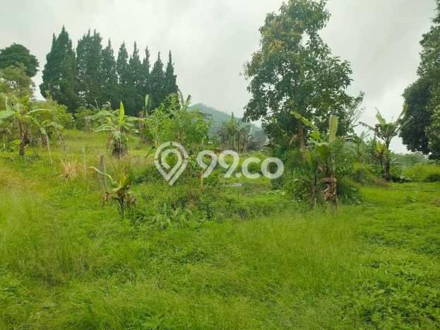 Tanah Komersial Dijual di Buleleng Buleleng 8750m2 Tanah Komersial Dijual di Buleleng Buleleng 8750m2