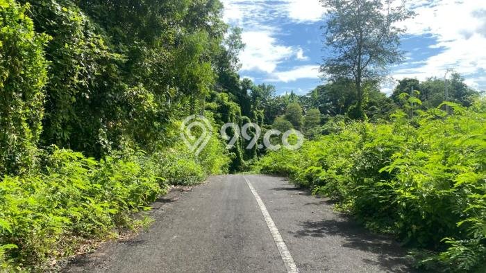 Untuk Dijual Tanah di Badung, Luas 1000m2 SHM Untuk Dijual Tanah di Badung, Luas 1000m2 SHM
