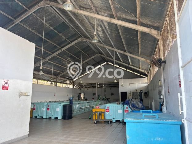 Paling Diincar! Gudang Dijual di Benoa Harga Kompetitif Paling Diincar! Gudang Dijual di Benoa Harga Kompetitif