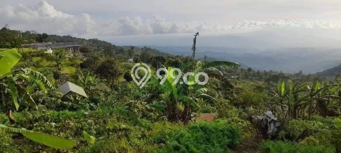 Tanah Komersial Dijual di Buleleng Buleleng 8750m2 Tanah Komersial Dijual di Buleleng Buleleng 8750m2