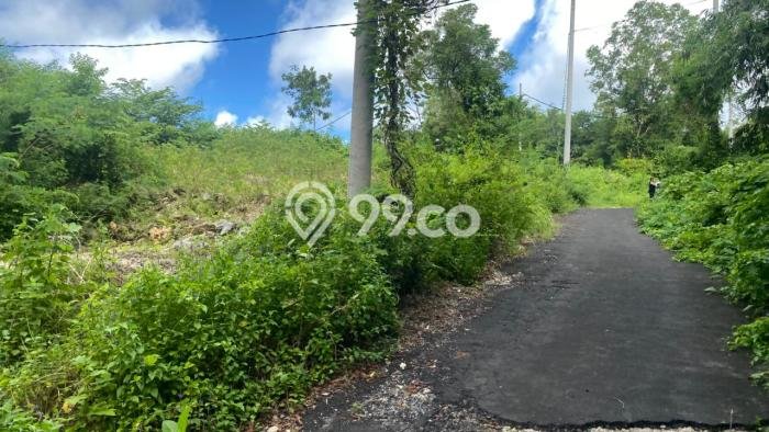 Untuk Dijual Tanah di Badung, Luas 1000m2 SHM Untuk Dijual Tanah di Badung, Luas 1000m2 SHM