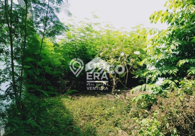 Ruko For Sale di Kawasan Blimbing, Malang Harga Kompetitif Ruko For Sale di Kawasan Blimbing, Malang Harga Kompetitif
