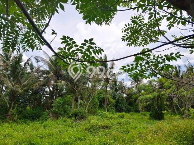 Lahan untuk Dijual Lokasi Tangerang, Tangerang Luas 19749m2 SHM Lahan untuk Dijual Lokasi Tangerang, Tangerang Luas 19749m2 SHM