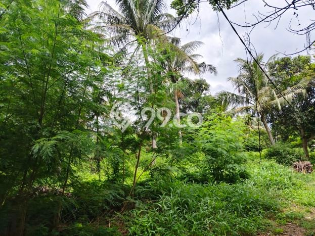 Lahan untuk Dijual Lokasi Tangerang, Tangerang Luas 19749m2 SHM Lahan untuk Dijual Lokasi Tangerang, Tangerang Luas 19749m2 SHM