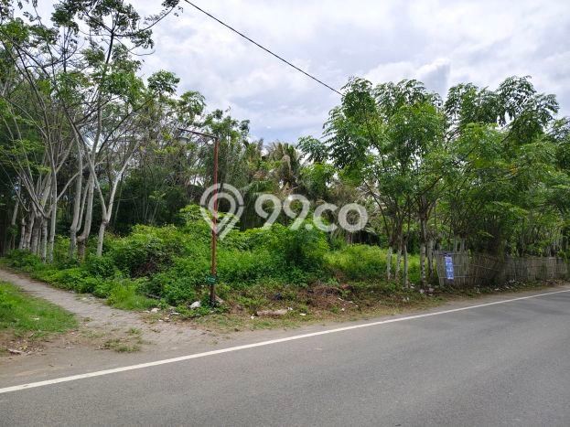Lahan untuk Dijual Lokasi Tangerang, Tangerang Luas 19749m2 SHM Lahan untuk Dijual Lokasi Tangerang, Tangerang Luas 19749m2 SHM