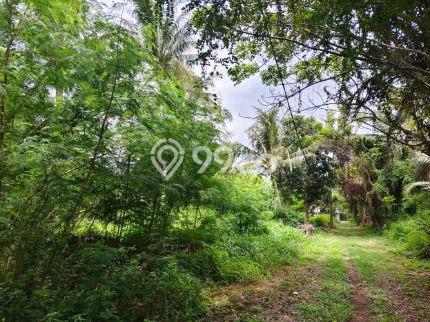 Lahan untuk Dijual Lokasi Tangerang, Tangerang Luas 19749m2 SHM Lahan untuk Dijual Lokasi Tangerang, Tangerang Luas 19749m2 SHM