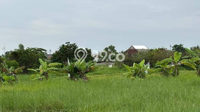 Tanah Kavling Dijual di Teluk Naga, Tangerang dengan Luas Tanah 3243m2 Tanah Kavling Dijual di Teluk Naga, Tangerang dengan Luas Tanah 3243m2