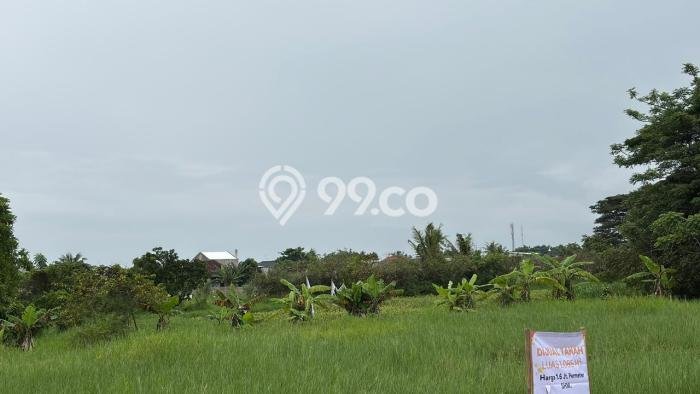 Tanah Kavling Dijual di Teluk Naga, Tangerang dengan Luas Tanah 3243m2 Tanah Kavling Dijual di Teluk Naga, Tangerang dengan Luas Tanah 3243m2