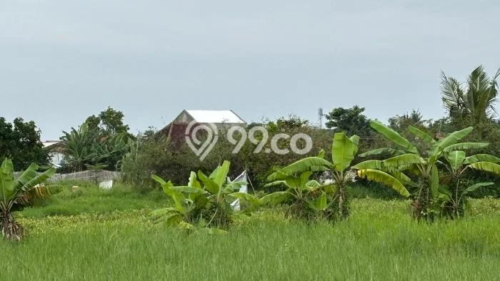 Tanah Kavling Dijual di Teluk Naga, Tangerang dengan Luas Tanah 3243m2 Tanah Kavling Dijual di Teluk Naga, Tangerang dengan Luas Tanah 3243m2