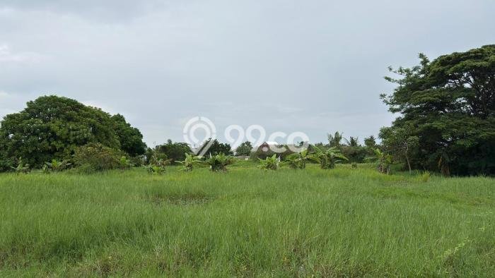 Tanah Kavling Dijual di Teluk Naga, Tangerang dengan Luas Tanah 3243m2 Tanah Kavling Dijual di Teluk Naga, Tangerang dengan Luas Tanah 3243m2