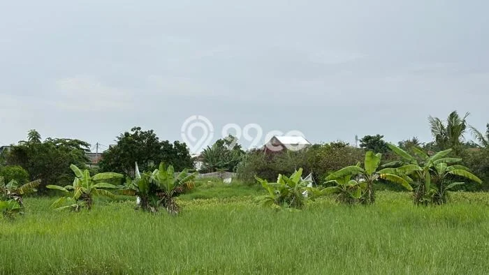 Tanah Kavling Dijual di Teluk Naga, Tangerang dengan Luas Tanah 3243m2 Tanah Kavling Dijual di Teluk Naga, Tangerang dengan Luas Tanah 3243m2