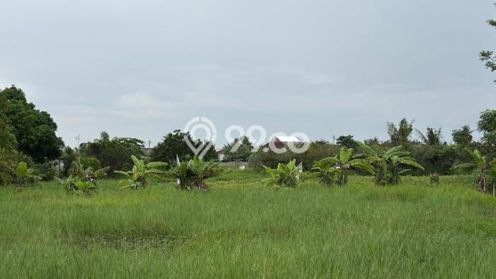 Tanah Kavling Dijual di Teluk Naga, Tangerang dengan Luas Tanah 3243m2 Tanah Kavling Dijual di Teluk Naga, Tangerang dengan Luas Tanah 3243m2