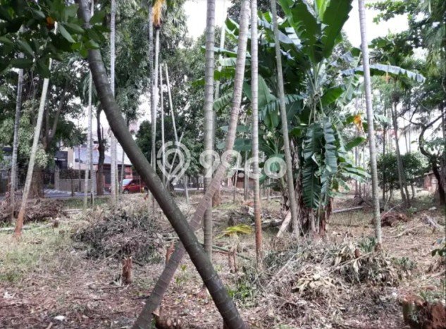 Lahan untuk Dijual di Duren Sawit Jakarta Timur Luas 1498m2 Lahan untuk Dijual di Duren Sawit Jakarta Timur Luas 1498m2