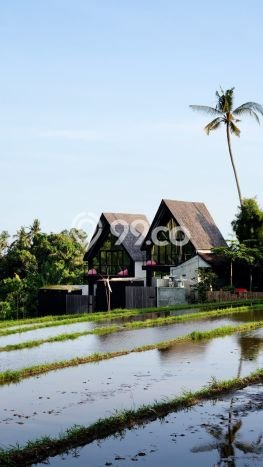 Vila Kawasan Selemadeg, Luas 100m2m², Akses ke berbagai fasilitas umum Vila Kawasan Selemadeg, Luas 100m2m², Akses ke berbagai fasilitas umum
