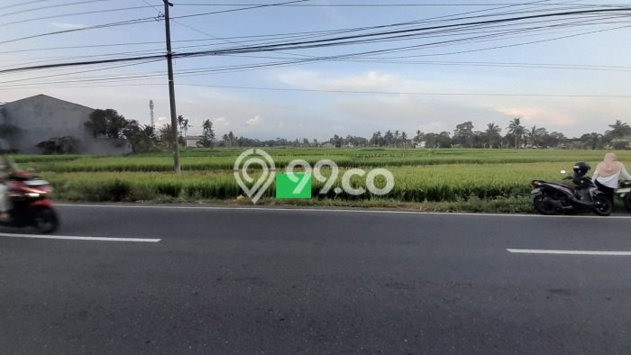 Tanah di Kalasan, Sleman Luas 909m2 Dijual Segera Tanah di Kalasan, Sleman Luas 909m2 Dijual Segera