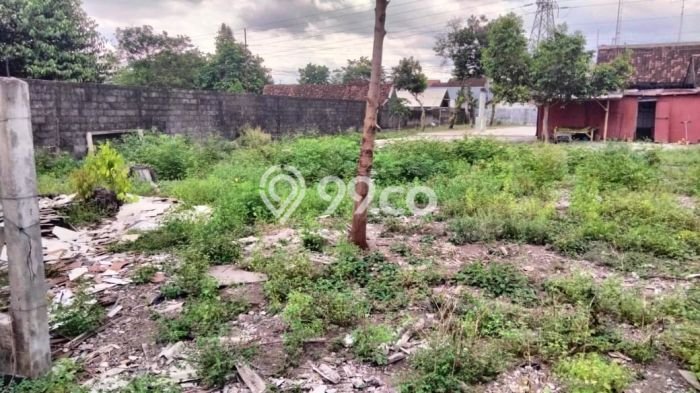 Tanah untuk Dijual di Depok Sleman Luas 600m2 Tanah untuk Dijual di Depok Sleman Luas 600m2