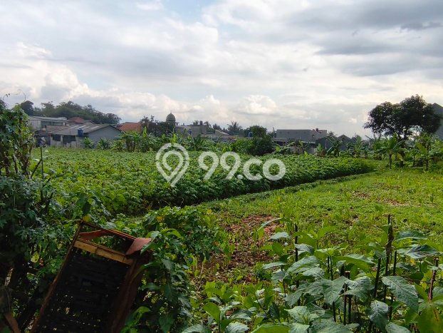 Kavling Tanah Dijual di Cibinong, Bogor, Luas 1695m2 Area Strategis Kavling Tanah Dijual di Cibinong, Bogor, Luas 1695m2 Area Strategis