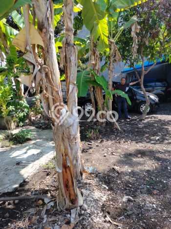 Untuk Dijual Tanah di Badung, Luas 292m2 SHM Untuk Dijual Tanah di Badung, Luas 292m2 SHM