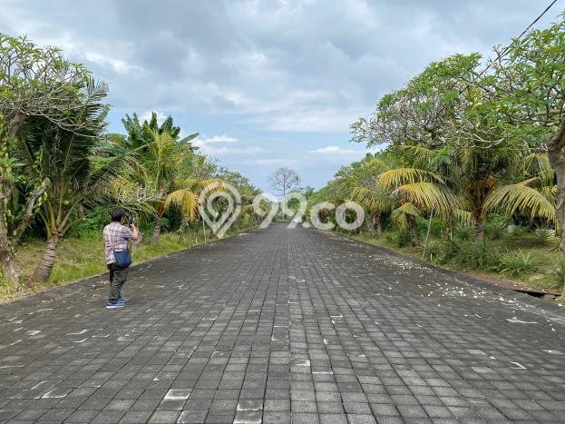 Lahan untuk Dijual di Gianyar Gianyar Luas 100m2 Lahan untuk Dijual di Gianyar Gianyar Luas 100m2