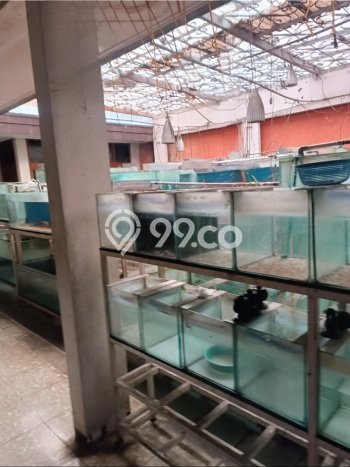Dijual Rumah Mewah Megah Dengan View Eksklusif di Sayap Dago, Bandung Dijual Rumah Mewah Megah Dengan View Eksklusif di Sayap Dago, Bandung