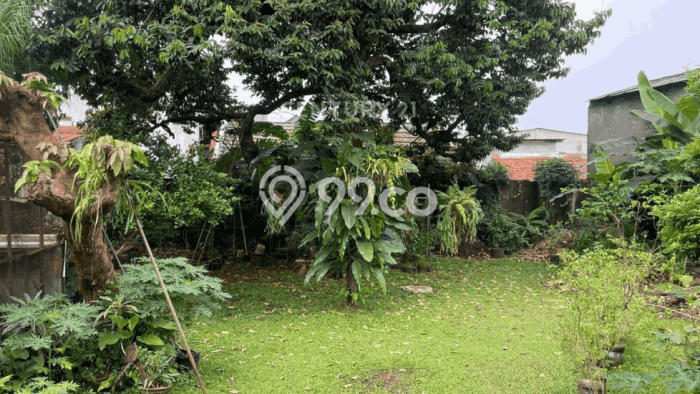 For Sale! Premium House LT 1188m2 Desain Modern di Bintaro For Sale! Premium House LT 1188m2 Desain Modern di Bintaro