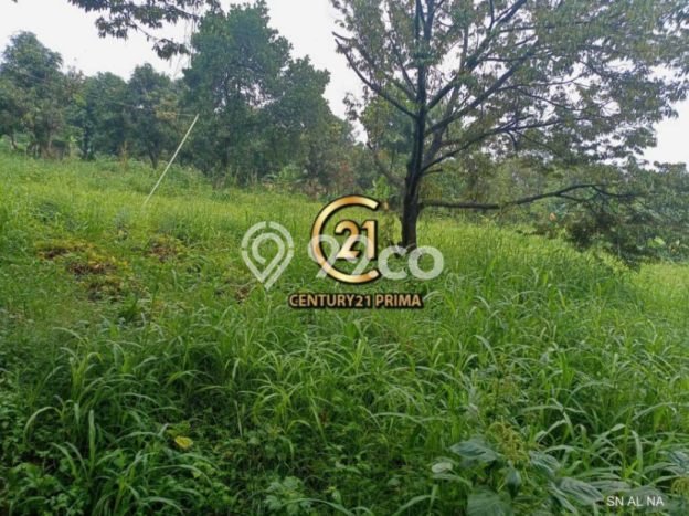 Tanah Kavling Dijual di Bintaro, Tangerang Selatan dengan Luas Tanah 15640m2 Tanah Kavling Dijual di Bintaro, Tangerang Selatan dengan Luas Tanah 15640m2