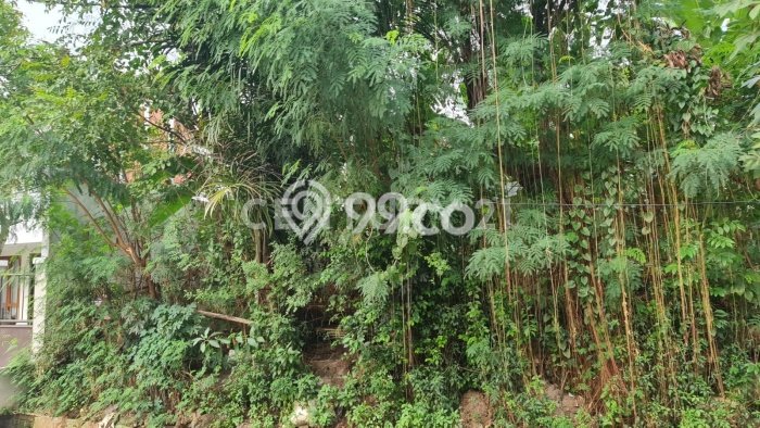 Tanah Kavling Dijual di Bintaro, Jakarta Selatan dengan Luas Tanah 810m2 Tanah Kavling Dijual di Bintaro, Jakarta Selatan dengan Luas Tanah 810m2