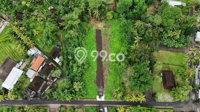 Tanah Kavling Dijual di canggu, Badung dengan Luas Tanah 135m2 Tanah Kavling Dijual di canggu, Badung dengan Luas Tanah 135m2