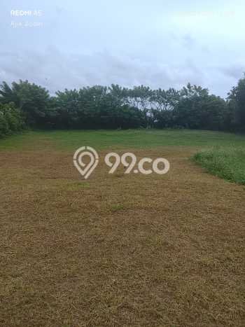 Tanah Kavling Dijual di Delodberawah, Jembrana dengan Luas Tanah 5000m2 Tanah Kavling Dijual di Delodberawah, Jembrana dengan Luas Tanah 5000m2