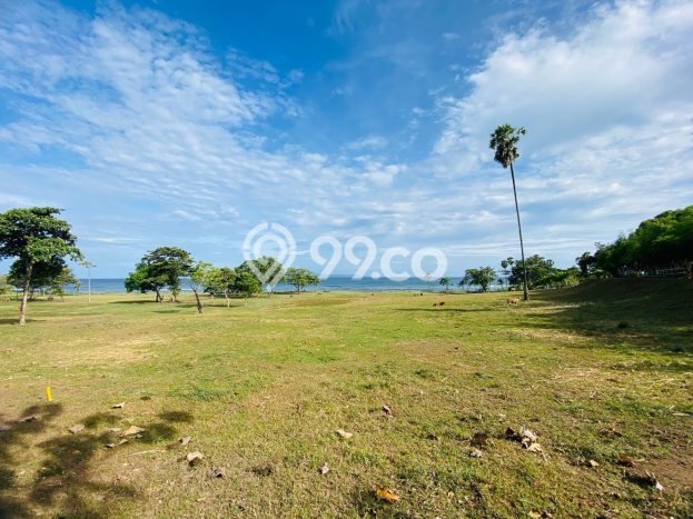 Lahan untuk Dijual di Gianyar Gianyar Luas 3569m2 Lahan untuk Dijual di Gianyar Gianyar Luas 3569m2