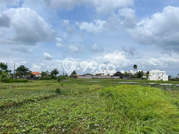 Tanah Investasi Dijual di Badung Punya Luas 200m2 Tanah Investasi Dijual di Badung Punya Luas 200m2