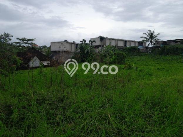 Tanah Kavling Dijual di Munggu, Badung dengan Luas Tanah 2400m2 Tanah Kavling Dijual di Munggu, Badung dengan Luas Tanah 2400m2