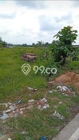 Jarang Ada! Tanah di Mengwi Punya Luas 11961m2 SHM Jarang Ada! Tanah di Mengwi Punya Luas 11961m2 SHM