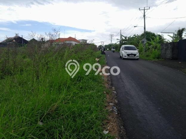 Tanah Kavling Dijual di Munggu, Badung dengan Luas Tanah 2400m2 Tanah Kavling Dijual di Munggu, Badung dengan Luas Tanah 2400m2