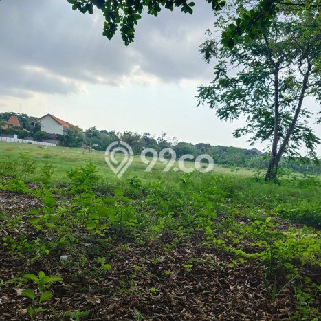 Tanah Dijual di Denpasar Seluas 59000m2 Strategis Tanah Dijual di Denpasar Seluas 59000m2 Strategis