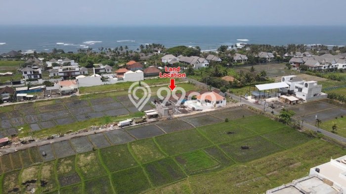 Tanah Kavling Dijual di Badung dengan Spesifikasi 1000m2 Tanah Kavling Dijual di Badung dengan Spesifikasi 1000m2