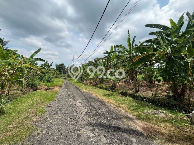 Tanah Dijual Lokasi Kediri, Tabanan Luas 150m2 Legalitas Aman Tanah Dijual Lokasi Kediri, Tabanan Luas 150m2 Legalitas Aman